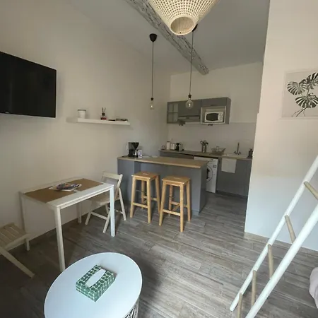 Apartman Vieil Et Mezzanine Proche De La *